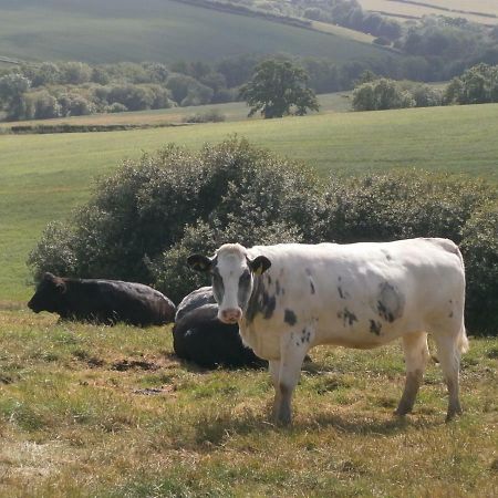 Harepath Farm Cottages 1 Exeter Eksteriør billede
